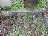 image of grave number 784734